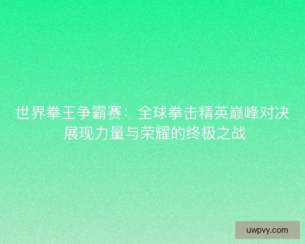 世界拳王争霸赛：全球拳击精英巅峰对决 展现力量与荣耀的终极之战